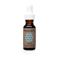 Clarify Ayurvedic Face Serum