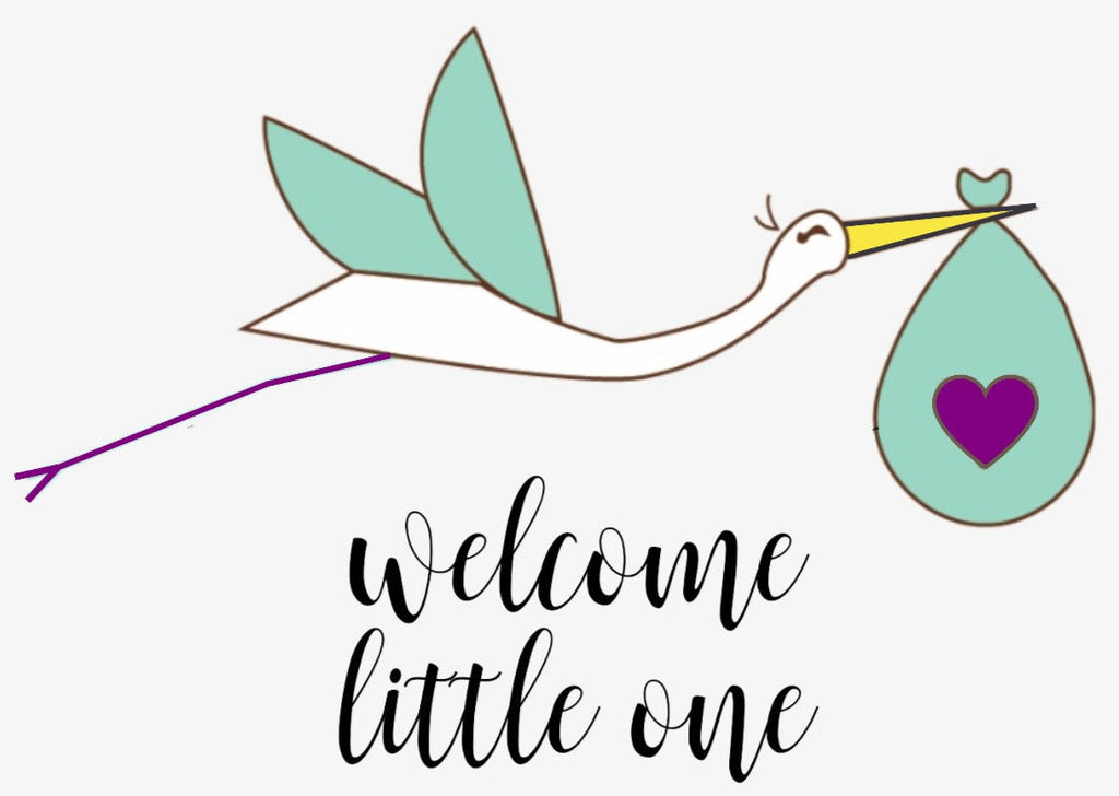 Organic New Baby Gift Set